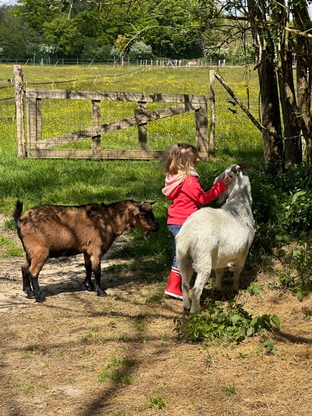 Domaine AbracadaRoom : Les roulottes des amis de Wonky - Image 13