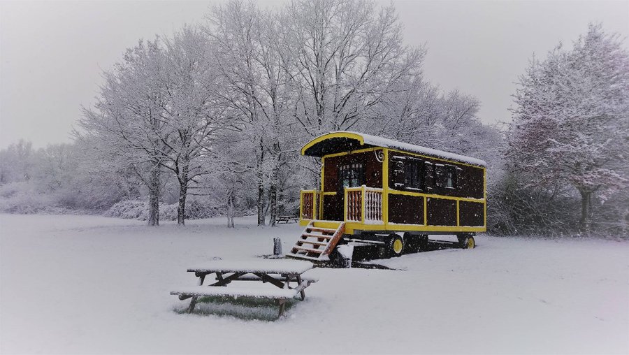 Hébergement AbracadaRoom : Roulotte Bohème - Image 13