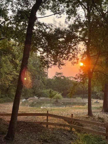 Hébergement AbracadaRoom : Ecolodge la Palombière & Spa privatif - Image 4