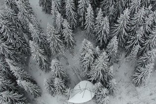 Cabane dans les arbres Savoie
