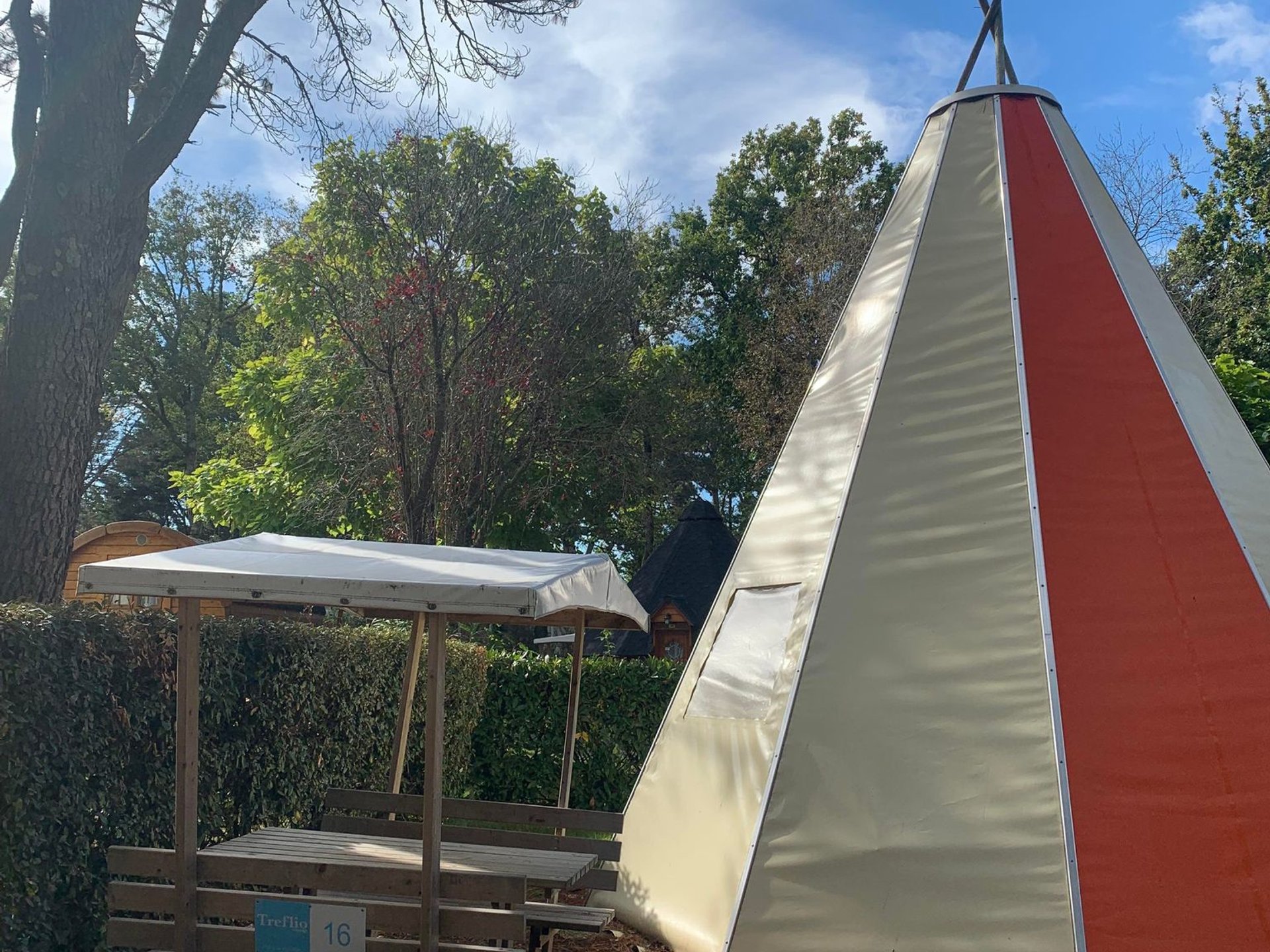 Tipi