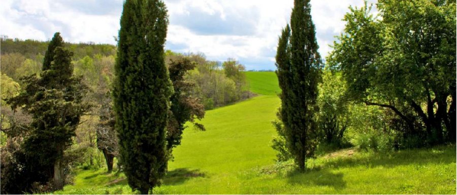 Domaine AbracadaRoom : Fajac la Selve - Image 6