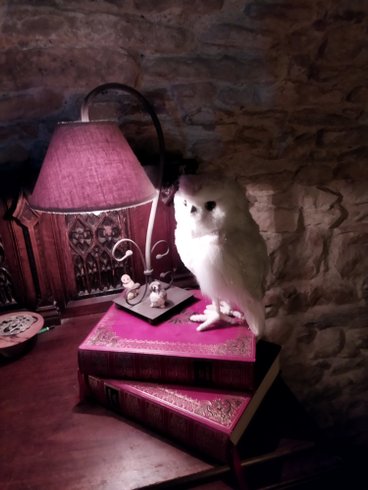 Hébergement AbracadaRoom : Suite magique du Petit Sorcier avec escape game - Image 10