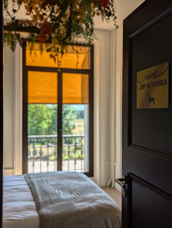 Chambre "Rêve de Cerf de Thorold" à Parentignat (6)