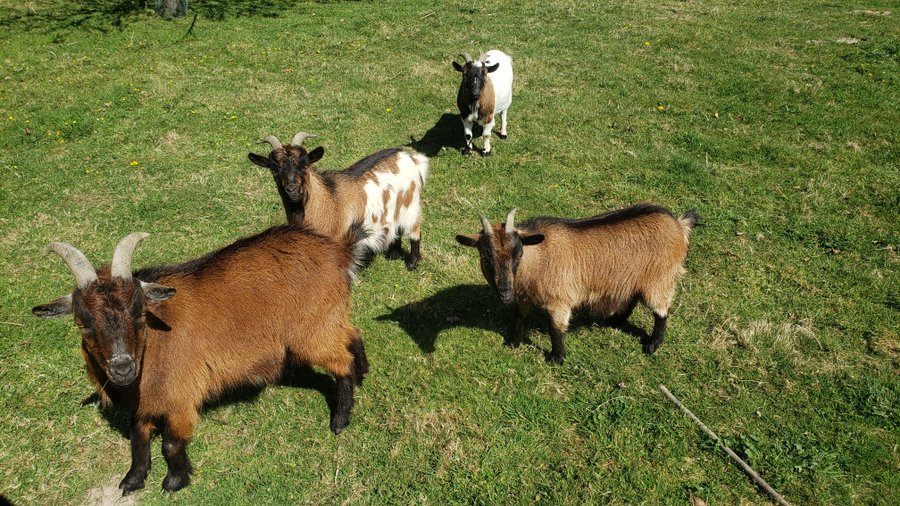 Domaine AbracadaRoom : Domaine du Valdorgère - Image 6