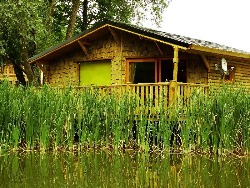 Hébergement AbracadaRoom : La Cabane du Grizzli - Image 2