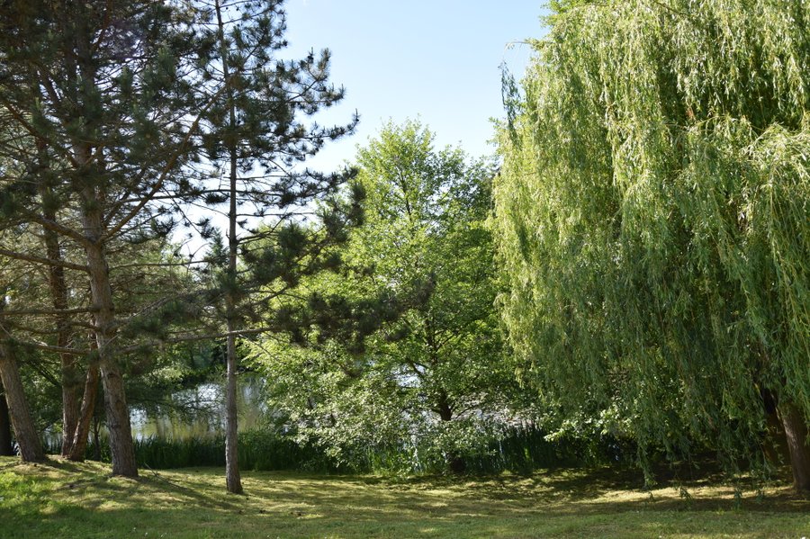 Domaine AbracadaRoom : Les Roulottes des Ris - Image 5