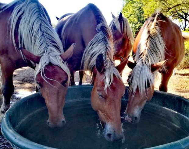 Hébergement AbracadaRoom : TIPI SIOUX - Image 4