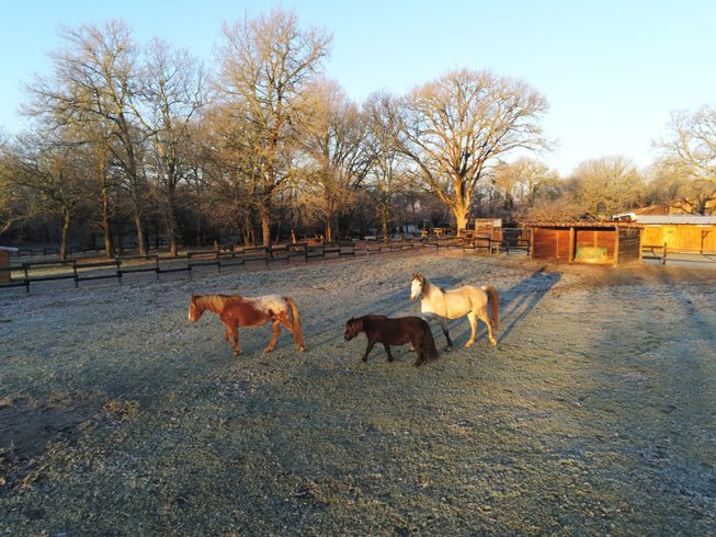 Domaine AbracadaRoom : Le Ranch Amadeus - Image 17