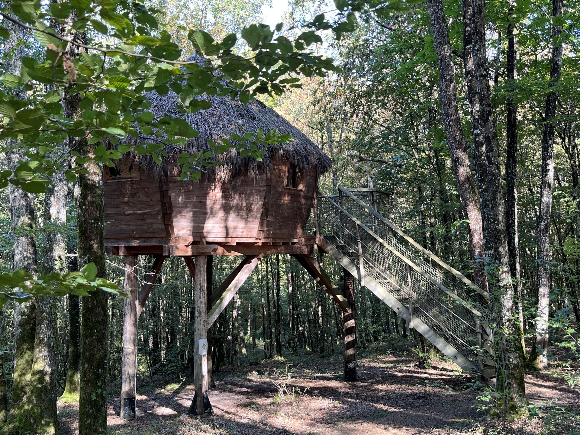 Cabane aux fées