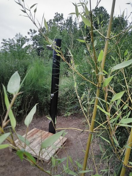 Hébergement AbracadaRoom : Escapade en pleine Nature dans un séchoir à plantes - Image 7