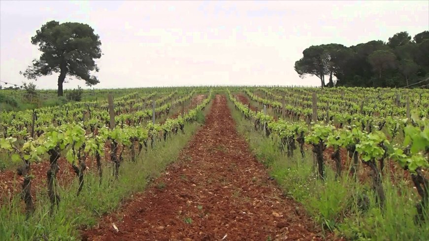Domaine AbracadaRoom : Domaine St-Jean de l'Arbousier - Image 8