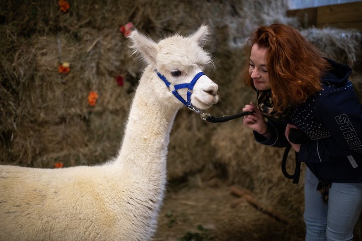 Domaine AbracadaRoom : Domaine Roccas - Image 5