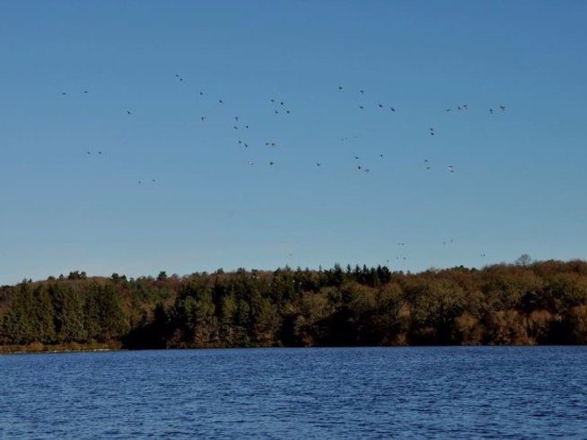 Hébergement AbracadaRoom : Saut du chevreuil - Image 12