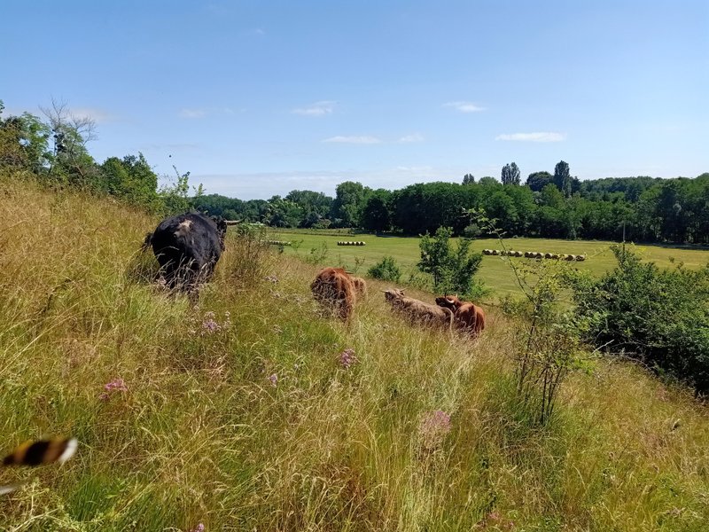 Hébergement AbracadaRoom : La Roulotte du Centre Agro Environnemental de Brassacou - Image 23