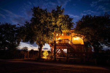 Cabane Spa dans les arbres - 6 personnes à La Guyonniere (1)