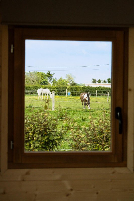 Le Cocon de Chaume : une parenthèse nature près d'Étretat à Annouville Vilmesnil (5)