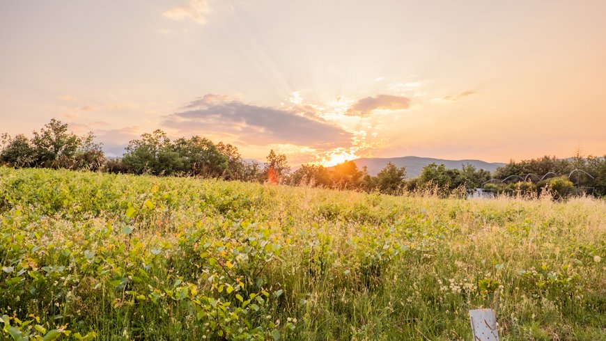 Hébergement AbracadaRoom : Le Paradis des Albères - Refuge Vue Mer & Montagne - Image 76
