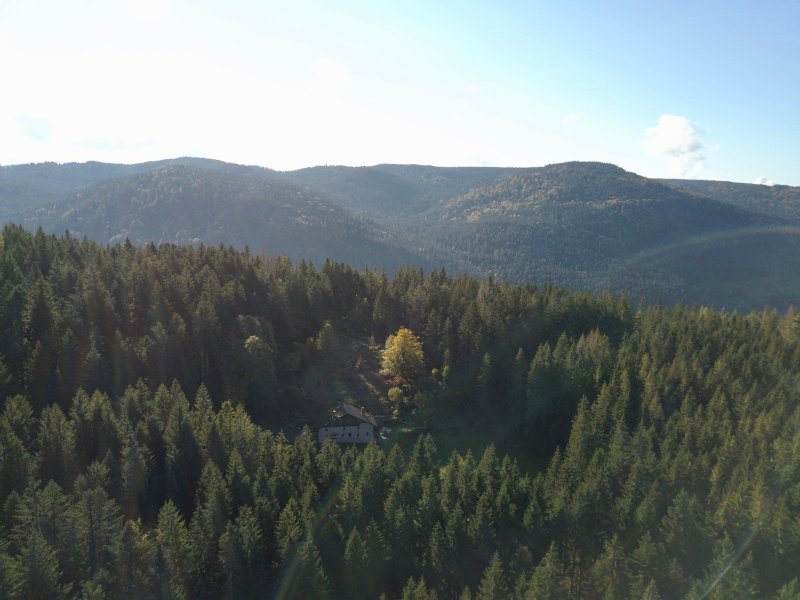 Hébergement AbracadaRoom : Dôme au milieu des Alpagas - Image 19