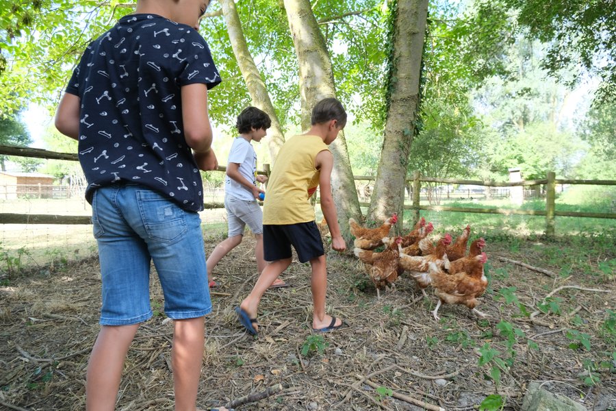 Domaine AbracadaRoom : Seasonova Camping Etennemare - Image 31