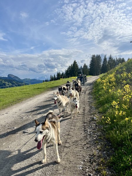 Hébergement AbracadaRoom : La Mine de Buck & Spa - Image 18