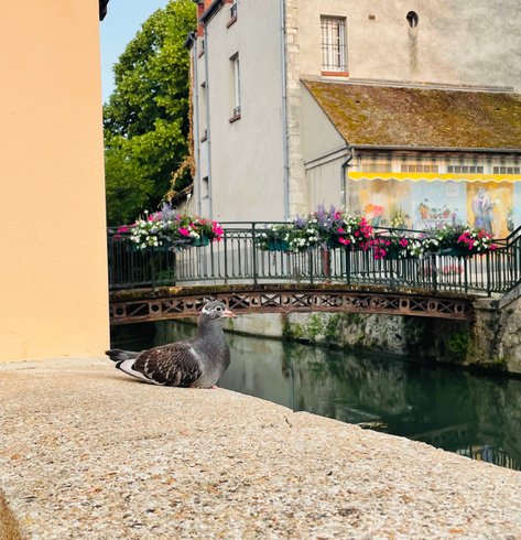 Hébergement AbracadaRoom : Lodge haut de gamme & bain nordique privatif au bord du Canal de Briare à 1h15 de Paris - Image 30