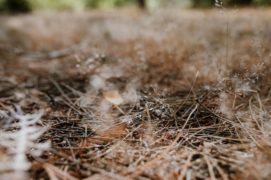 Domaine AbracadaRoom : Tiny Stay Ecolodge - Image 20