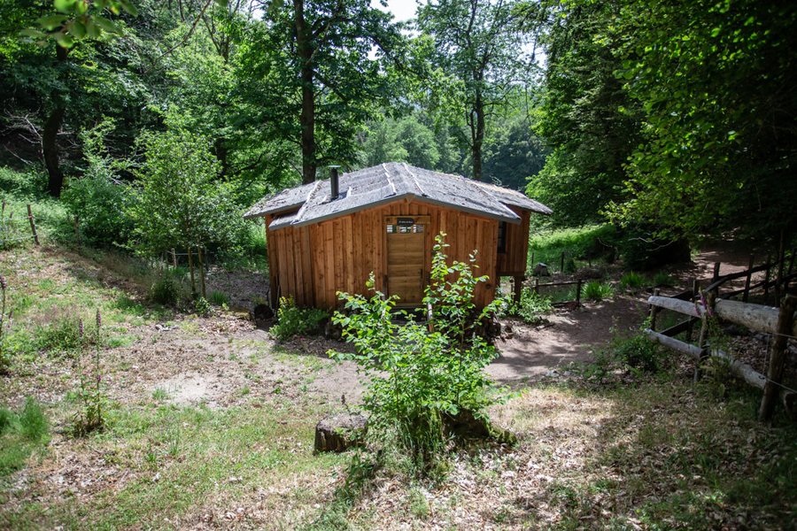 Domaine AbracadaRoom : Les Cabanes au Bord du Monde - Image 3