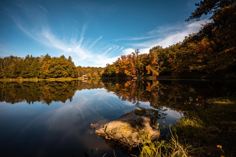 Hébergement AbracadaRoom : Lov'Branches - Image 6