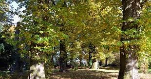 Domaine AbracadaRoom : Le relais des sorciers - Image 30