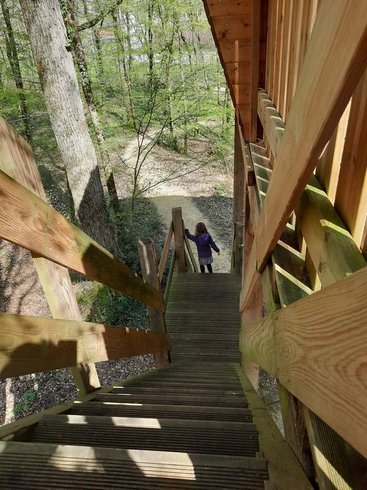 Hébergement AbracadaRoom : Cabane de l'Augis Nature - Image 18