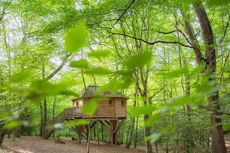 Domaine AbracadaRoom : Les Folies de Sophie - Image 1