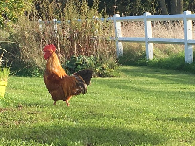Hébergement AbracadaRoom : La Maisonnette de poupée avec cheminée, Vue Nature & Vélos - Image 25