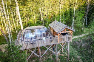 Grand dôme perché Spa - Geai des chênes