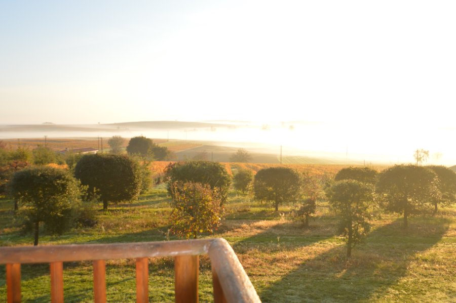 Domaine AbracadaRoom : Abri des Chênes - Image 3