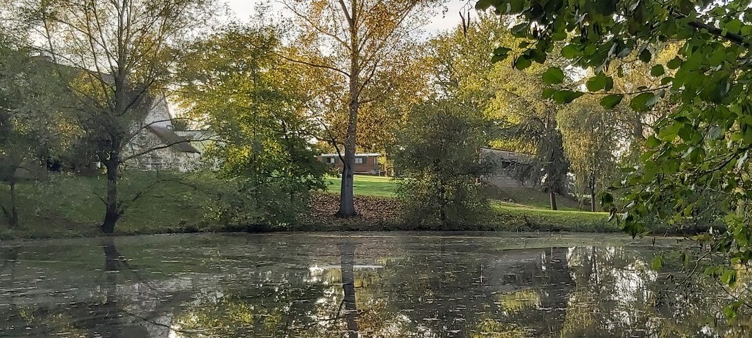 Hébergement AbracadaRoom : Bucolique - Image 11