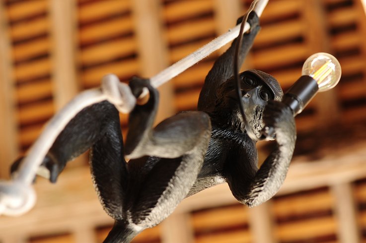 Domaine AbracadaRoom : Kimaro Farmhouse - Image 19