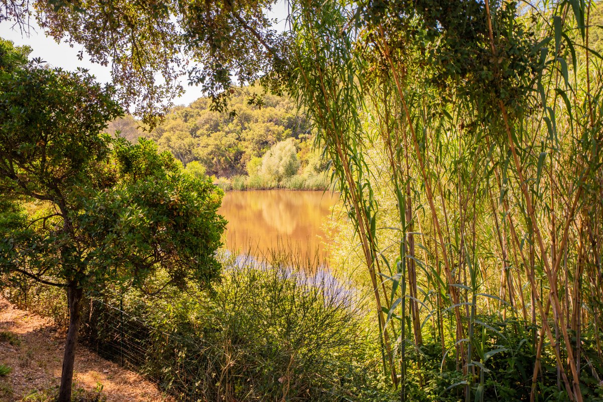 Le Refuge des Maures - à 15 min de la Mer & Plages à La Londe-Les-Maures (31)