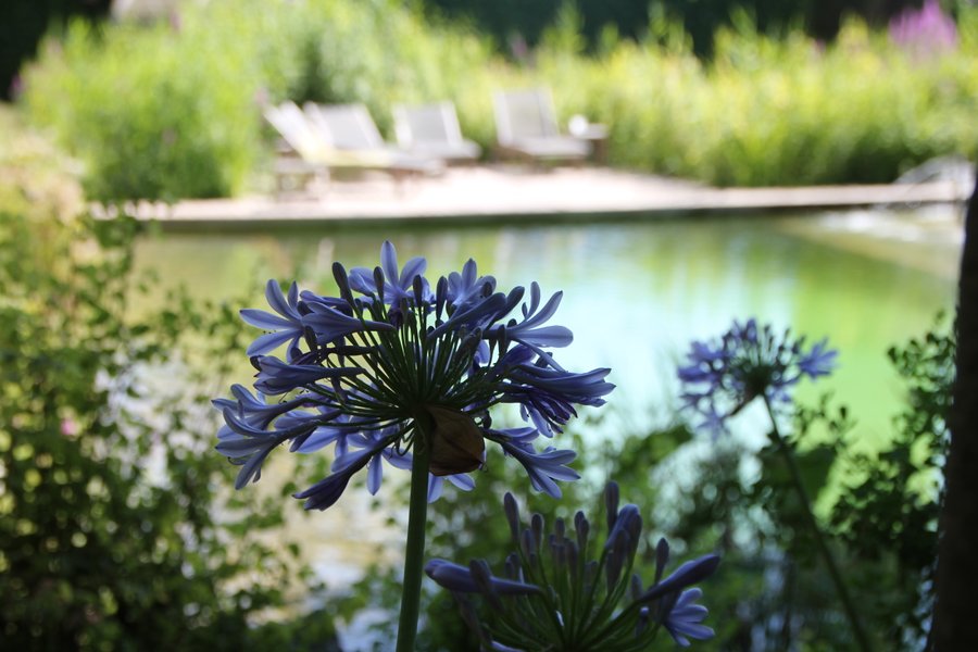 Domaine AbracadaRoom : Orion Treehouses - Image 7