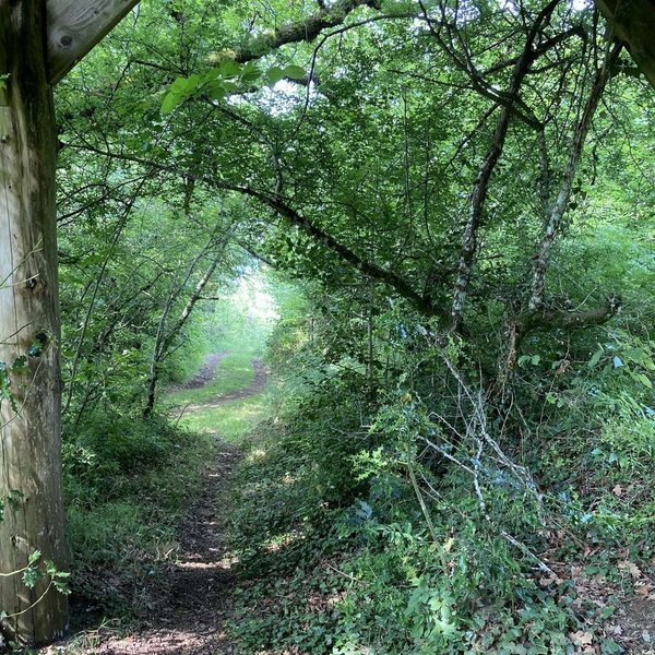 Domaine AbracadaRoom : Les Cabanes dans les Arbres de Caluche - Image 23