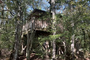 Cabane Perchée Jurassic