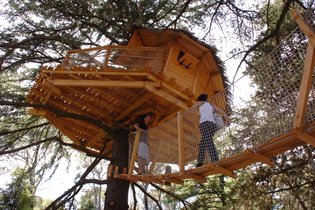 Domaine St-Jean de l'Arbousier