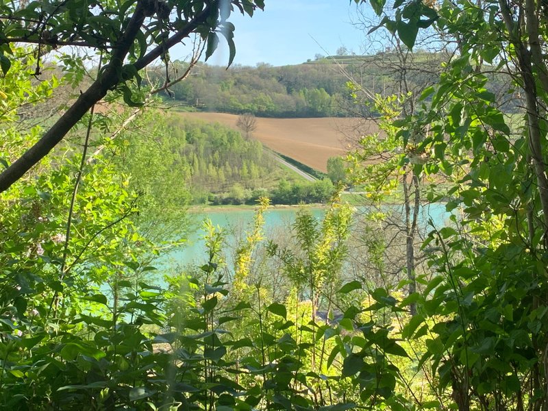Hébergement AbracadaRoom : Colline  sous les étoiles - Image 17