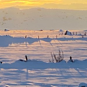 Domaine AbracadaRoom : Buron Cœur D'Aubrac - Image 7