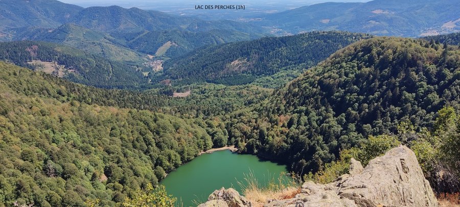 Domaine AbracadaRoom : La Pat' de l'ours - Image 9