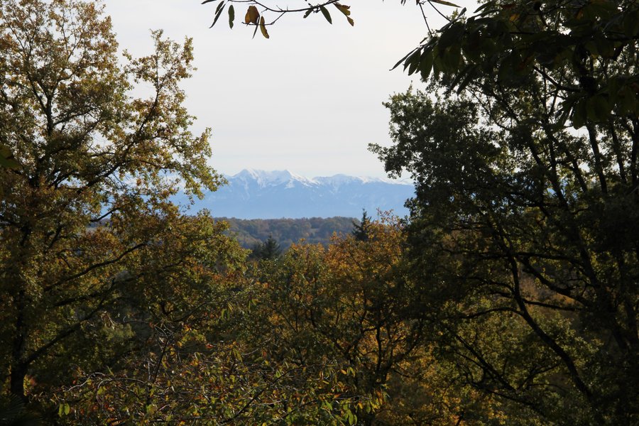 Domaine AbracadaRoom : Au Bois d'Escoumos - Image 6