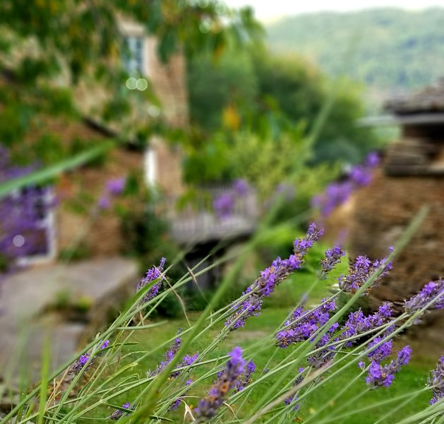 Domaine AbracadaRoom : Soulié du Tarn - Image 10