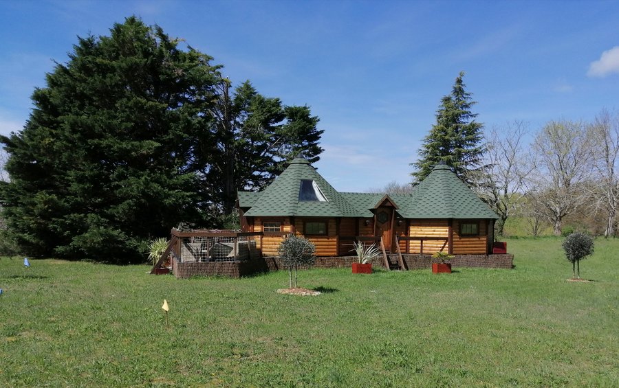 Domaine AbracadaRoom : A l'abri des cyprès - Image 2