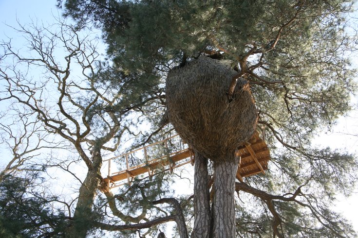 Hébergement AbracadaRoom : Cabane Cocon - Image 6