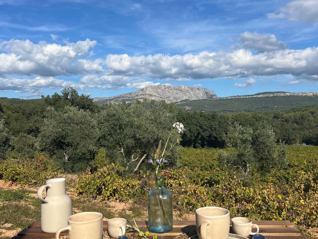 Tiny House Sainte Victoire à Meyreuil (9)
